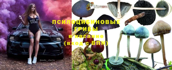 каннабис Алзамай