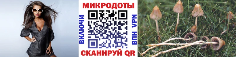 Псилоцибиновые грибы мицелий Богучар