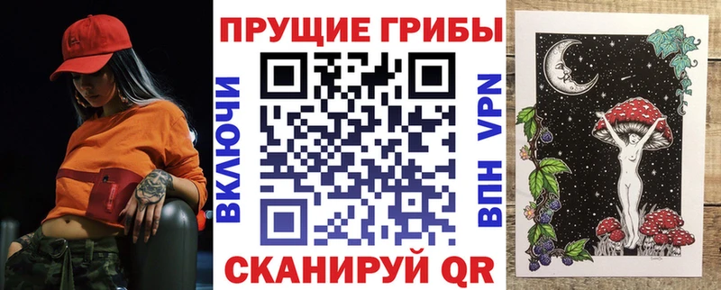 дарнет шоп  Богучар  Псилоцибиновые грибы Cubensis 